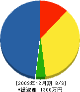 下田商事 貸借対照表 2009年12月期