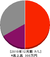 金子サク泉工業所 損益計算書 2010年12月期