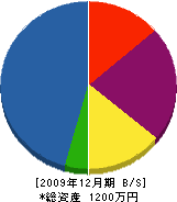 鈴木塗装店 貸借対照表 2009年12月期