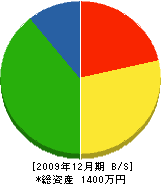 田中電機 貸借対照表 2009年12月期