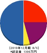 森田塗装 貸借対照表 2010年12月期