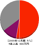 斉須塗装 損益計算書 2009年12月期