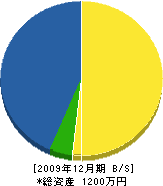 東坂建築 貸借対照表 2009年12月期