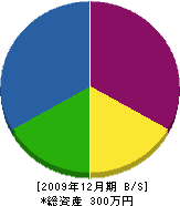 渡辺設備工業所 貸借対照表 2009年12月期
