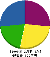 佐々木畳店 貸借対照表 2009年12月期