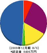 丸欣工業 貸借対照表 2009年12月期