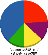 浦田建築 貸借対照表 2009年12月期