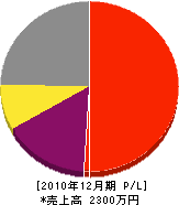寺島塗装 損益計算書 2010年12月期