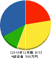 畠山電気商会 貸借対照表 2010年12月期