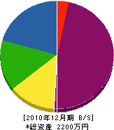 遠藤電気 貸借対照表 2010年12月期