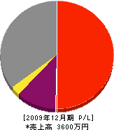 山崎電機 損益計算書 2009年12月期