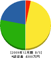 佐久電工 貸借対照表 2009年12月期