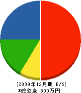 大石総合園芸 貸借対照表 2009年12月期