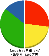 入江建築 貸借対照表 2009年12月期