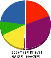 長谷川水道設備 貸借対照表 2009年12月期
