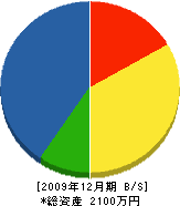 谷藤組 貸借対照表 2009年12月期
