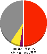 太田工務店 損益計算書 2009年12月期