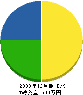 田代植木 貸借対照表 2009年12月期