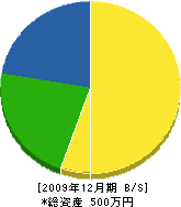 山崎組 貸借対照表 2009年12月期