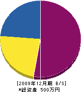 橋本土建 貸借対照表 2009年12月期