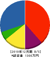 大島組 貸借対照表 2010年12月期