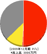 中野クロス 損益計算書 2009年12月期