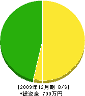 中江塗装店 貸借対照表 2009年12月期