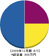 東電気商会 貸借対照表 2009年12月期