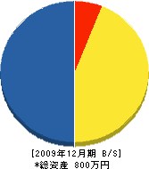 中嶋電機商会 貸借対照表 2009年12月期