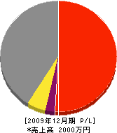 豊田産業 損益計算書 2009年12月期