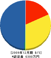 北川建設 貸借対照表 2009年12月期