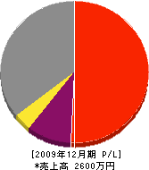 澤田建設 損益計算書 2009年12月期