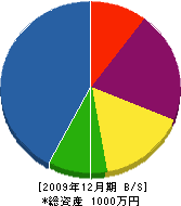 高橋電気設備工業 貸借対照表 2009年12月期