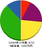 長谷川建設工業 貸借対照表 2009年12月期