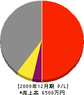 髙橋土建 損益計算書 2009年12月期