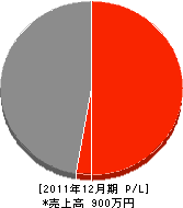 藤澤左官工業所 損益計算書 2011年12月期
