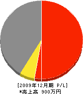 阪本水道店 損益計算書 2009年12月期