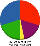 真田工務所 貸借対照表 2010年12月期