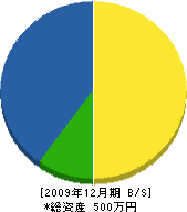 菅原工務店 貸借対照表 2009年12月期