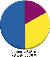 平瀬建設 貸借対照表 2009年12月期