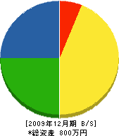 坂本建築 貸借対照表 2009年12月期