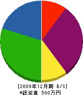 小森庭園 貸借対照表 2009年12月期