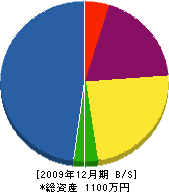 山一 貸借対照表 2009年12月期