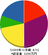 田村塗装店 貸借対照表 2009年12月期