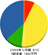 武田電器 貸借対照表 2009年12月期