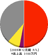 田中鉄工所 損益計算書 2009年12月期