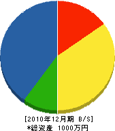 藤井電設 貸借対照表 2010年12月期
