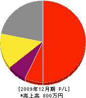 徳永畳店 損益計算書 2009年12月期