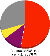 澤田塗装 損益計算書 2009年12月期
