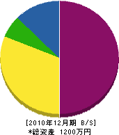 長崎建設 貸借対照表 2010年12月期